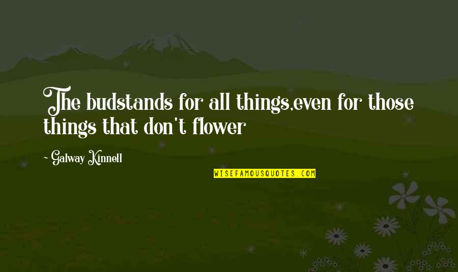 Volleyball Setter Quotes By Galway Kinnell: The budstands for all things,even for those things Volleyball Setter Quotes By Galway Kinnell: The budstands for all things,even for those things