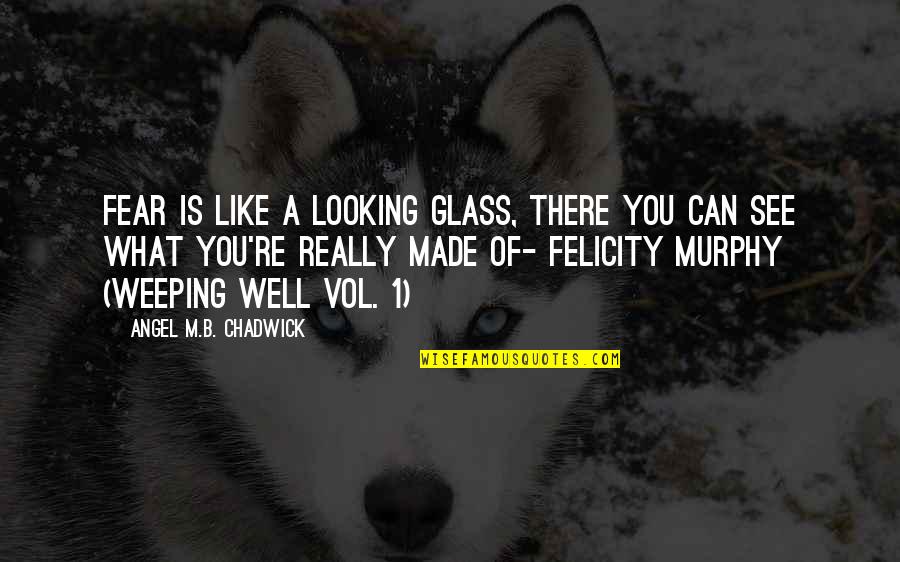 Vol's Quotes By Angel M.B. Chadwick: Fear is like a looking glass, there you