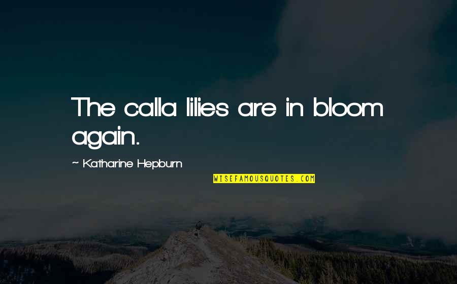 Volschenk Origin Quotes By Katharine Hepburn: The calla lilies are in bloom again. Volschenk Origin Quotes By Katharine Hepburn: The calla lilies are in bloom again.