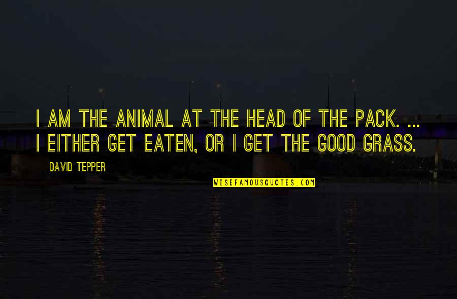 Volstagg Quotes By David Tepper: I am the animal at the head of