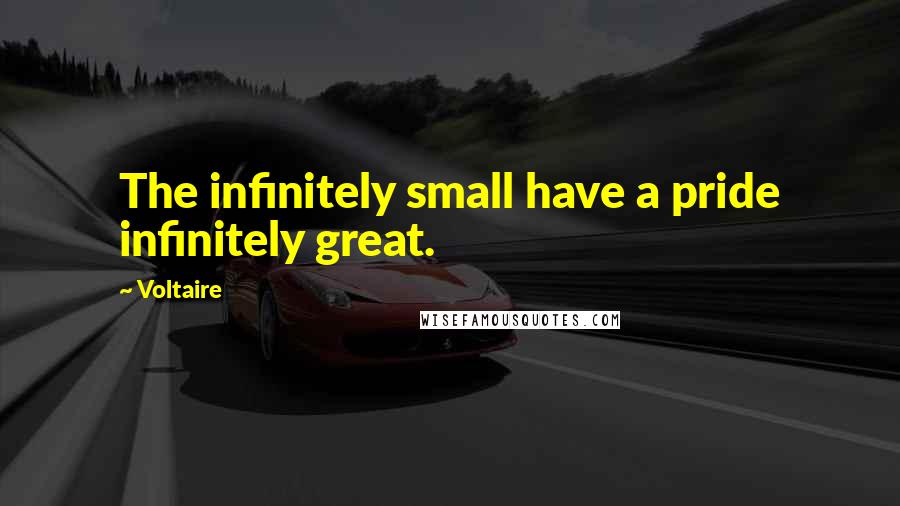 Voltaire quotes: The infinitely small have a pride infinitely great.