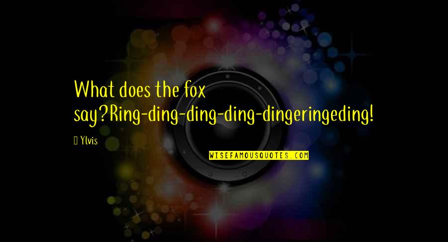 Volte Sprint Quotes By Ylvis: What does the fox say?Ring-ding-ding-ding-dingeringeding!