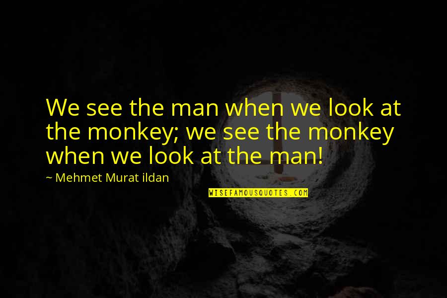 Voltunk Mint Quotes By Mehmet Murat Ildan: We see the man when we look at