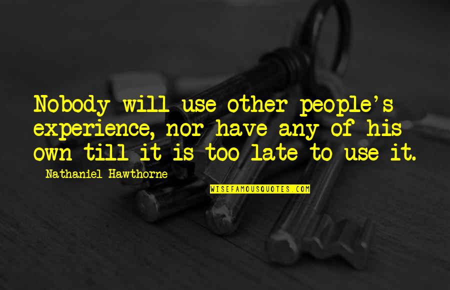 Volunteering At Animal Shelters Quotes By Nathaniel Hawthorne: Nobody will use other people's experience, nor have