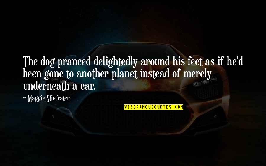 Voluptas Goddess Quotes By Maggie Stiefvater: The dog pranced delightedly around his feet as Voluptas Goddess Quotes By Maggie Stiefvater: The dog pranced delightedly around his feet as