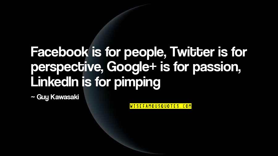 Voluptuoso Significado Quotes By Guy Kawasaki: Facebook is for people, Twitter is for perspective,