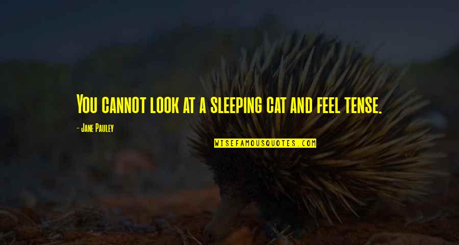 Vomit And Covid Quotes By Jane Pauley: You cannot look at a sleeping cat and Vomit And Covid Quotes By Jane Pauley: You cannot look at a sleeping cat and