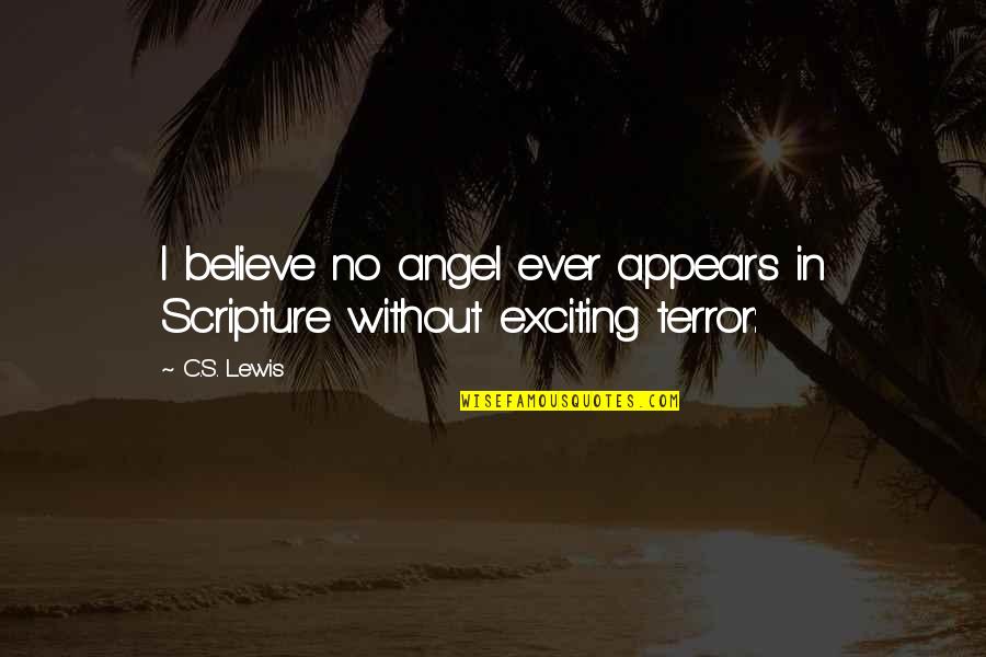 Von Der Heyden Quotes By C.S. Lewis: I believe no angel ever appears in Scripture