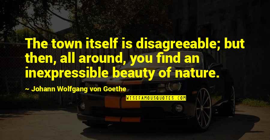 Von Quotes By Johann Wolfgang Von Goethe: The town itself is disagreeable; but then, all