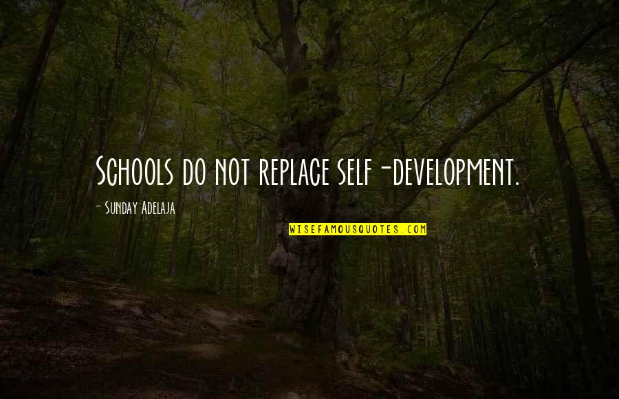 Vondrakova Quotes By Sunday Adelaja: Schools do not replace self-development.