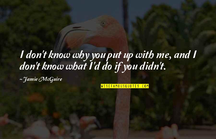 Voorzien Translate Quotes By Jamie McGuire: I don't know why you put up with