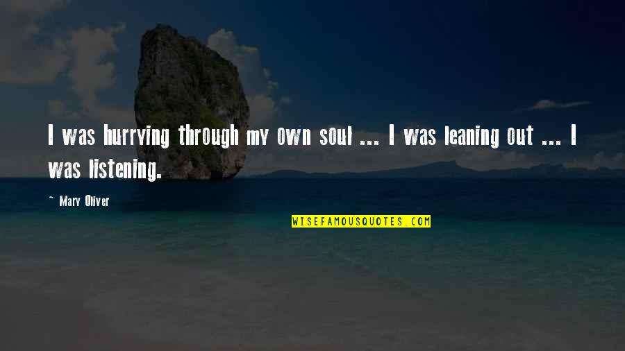 Vorstadtweiber Quotes By Mary Oliver: I was hurrying through my own soul ...