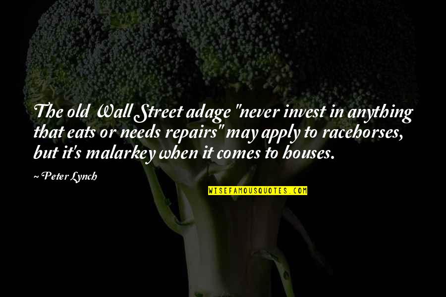 Vote Good Quotes By Peter Lynch: The old Wall Street adage "never invest in Vote Good Quotes By Peter Lynch: The old Wall Street adage "never invest in
