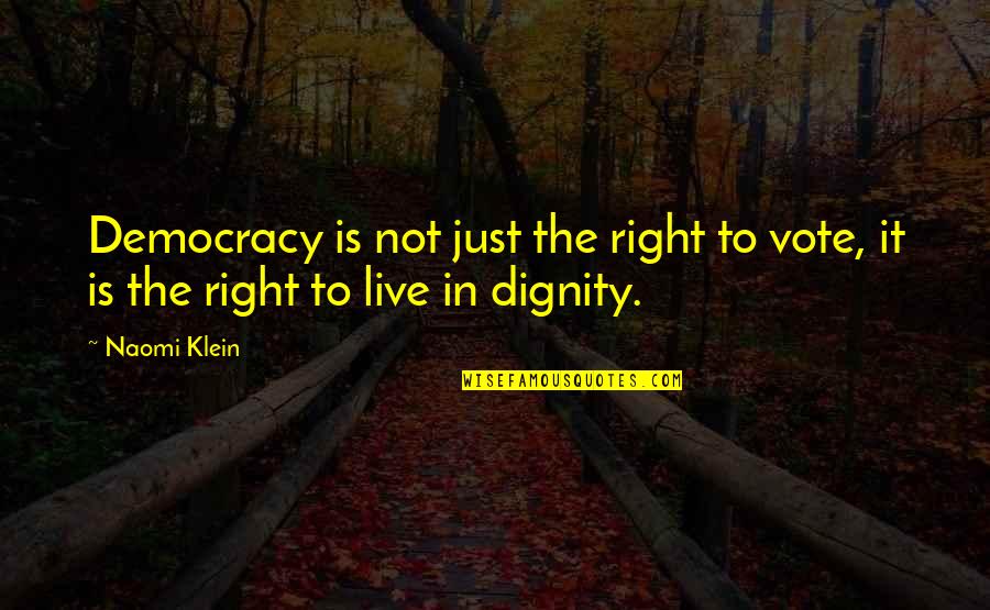 Vote Right Quotes By Naomi Klein: Democracy is not just the right to vote,
