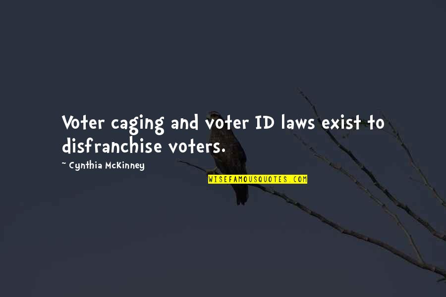 Voter Id Laws Quotes By Cynthia McKinney: Voter caging and voter ID laws exist to