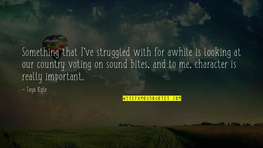 Voting For Me Quotes By Taya Kyle: Something that I've struggled with for awhile is