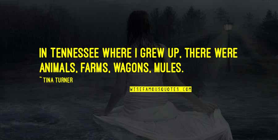 Vours Quotes By Tina Turner: In Tennessee where I grew up, there were