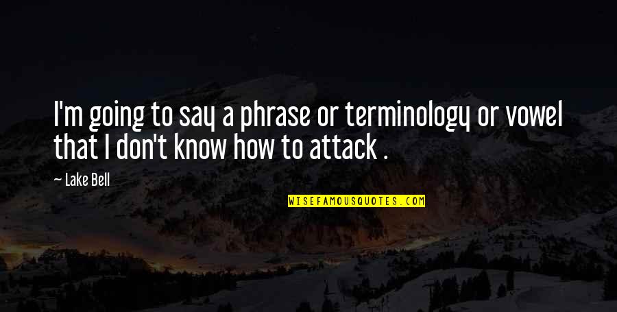 Vowels Quotes By Lake Bell: I'm going to say a phrase or terminology