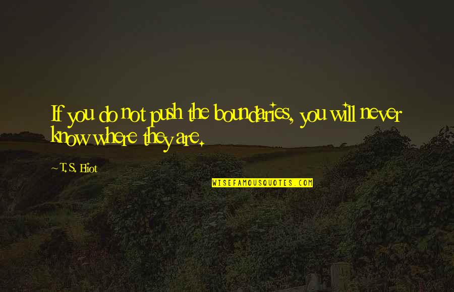 Vrijdag Weer Quotes By T. S. Eliot: If you do not push the boundaries, you