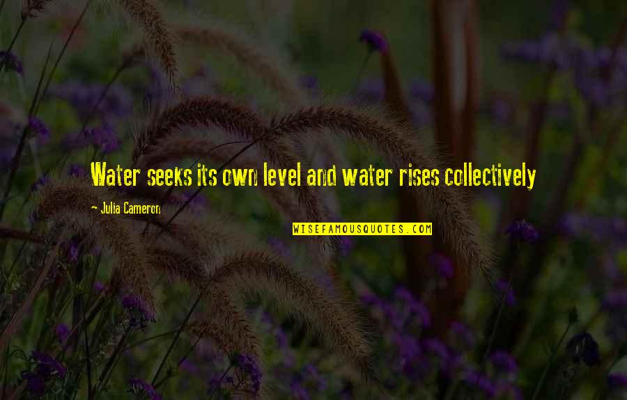 Vrtidor Quotes By Julia Cameron: Water seeks its own level and water rises Vrtidor Quotes By Julia Cameron: Water seeks its own level and water rises