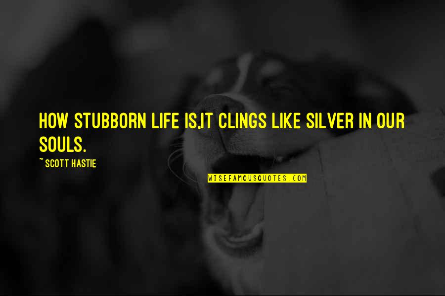 Vrunda Bhatt Quotes By Scott Hastie: How stubborn life is,It clings like silver in Vrunda Bhatt Quotes By Scott Hastie: How stubborn life is,It clings like silver in
