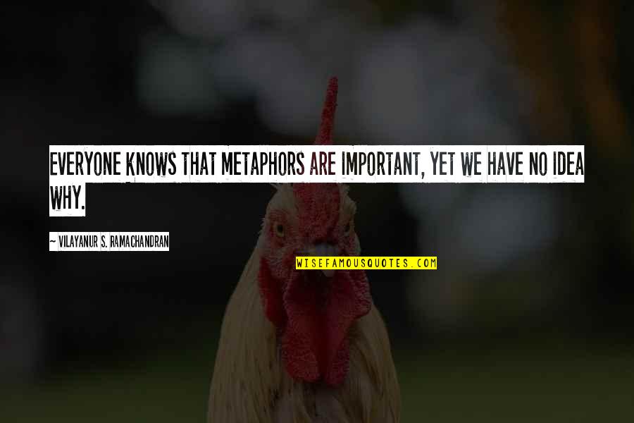 Vs Ramachandran Quotes By Vilayanur S. Ramachandran: Everyone knows that metaphors are important, yet we