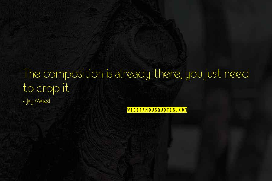 Vsenadorty Quotes By Jay Maisel: The composition is already there, you just need