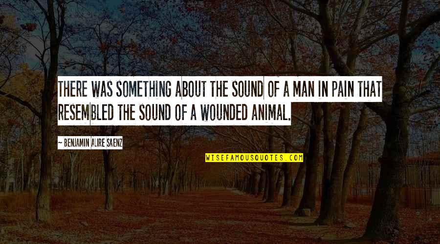 Vsetkovyhodne Quotes By Benjamin Alire Saenz: There was something about the sound of a Vsetkovyhodne Quotes By Benjamin Alire Saenz: There was something about the sound of a