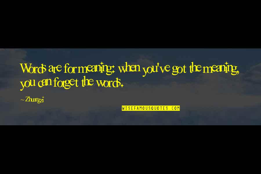 Vstupenky Ticket Quotes By Zhuangzi: Words are for meaning: when you've got the