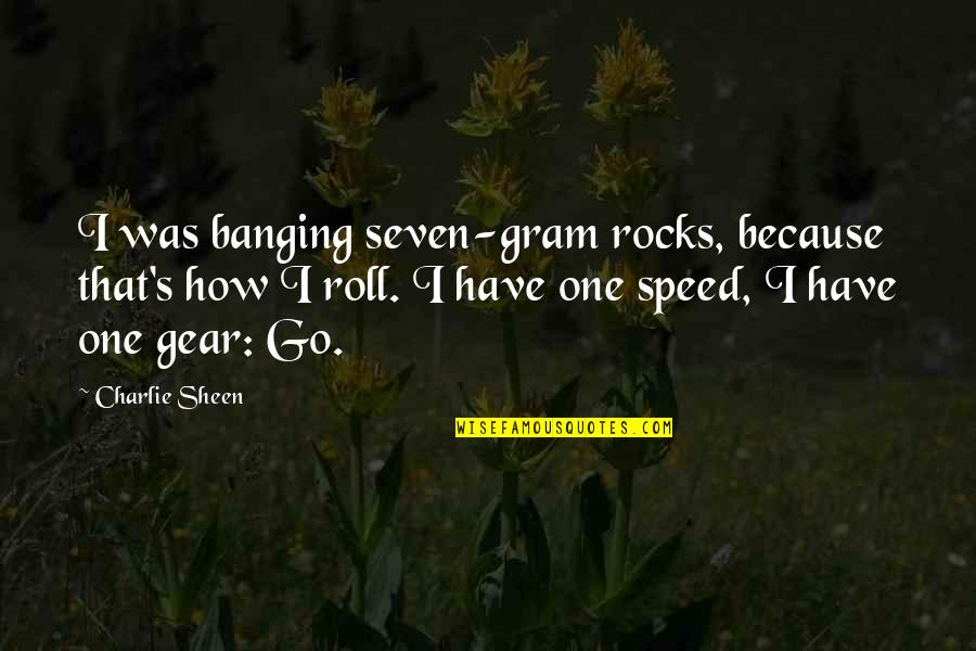 Vta Stock Quotes By Charlie Sheen: I was banging seven-gram rocks, because that's how Vta Stock Quotes By Charlie Sheen: I was banging seven-gram rocks, because that's how