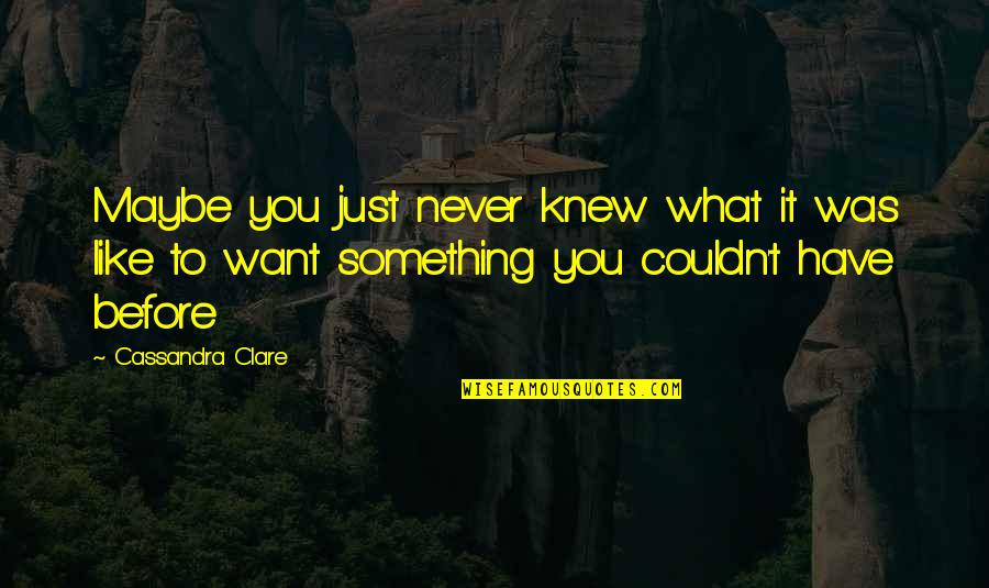 Vtiger 6 Quotes By Cassandra Clare: Maybe you just never knew what it was