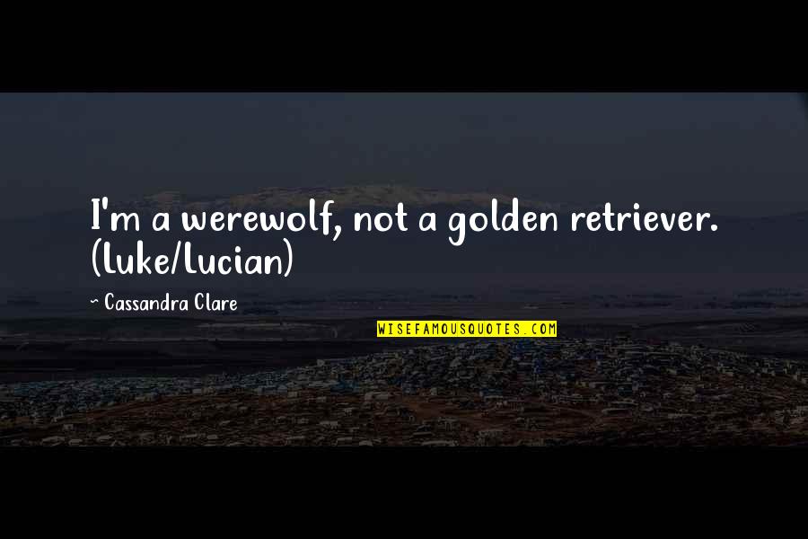 Vtl Escape Quotes By Cassandra Clare: I'm a werewolf, not a golden retriever. (Luke/Lucian) Vtl Escape Quotes By Cassandra Clare: I'm a werewolf, not a golden retriever. (Luke/Lucian)