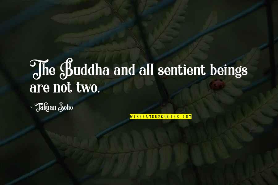 Vuelven Ustedes Quotes By Takuan Soho: The Buddha and all sentient beings are not Vuelven Ustedes Quotes By Takuan Soho: The Buddha and all sentient beings are not