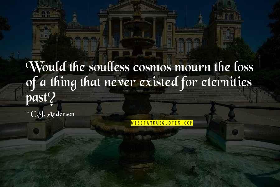 Vuestro And Vuestra Quotes By C.J. Anderson: Would the soulless cosmos mourn the loss of