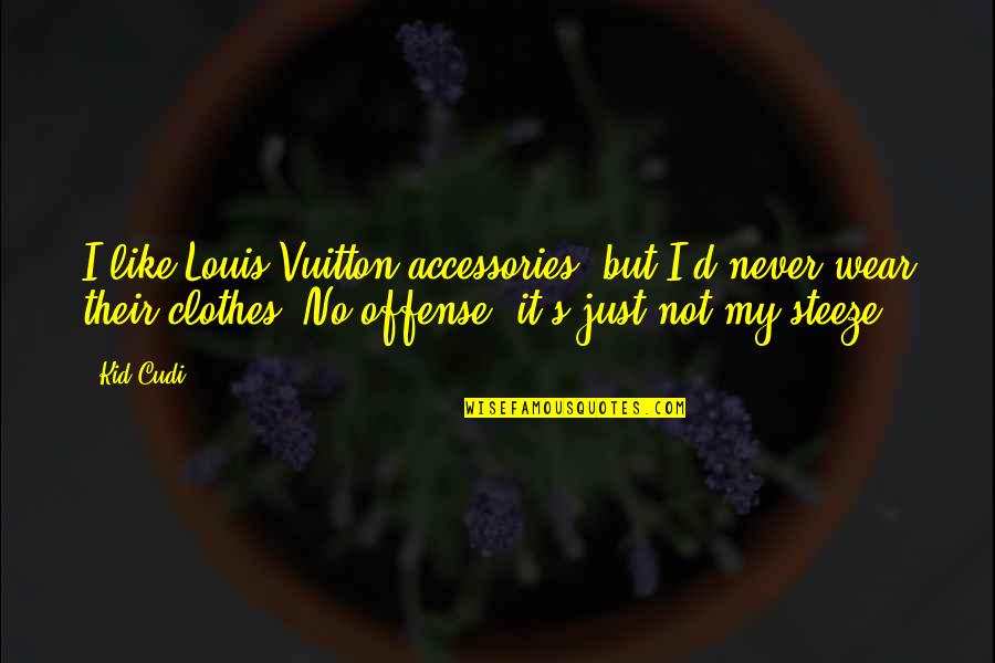Vuitton Quotes By Kid Cudi: I like Louis Vuitton accessories, but I'd never