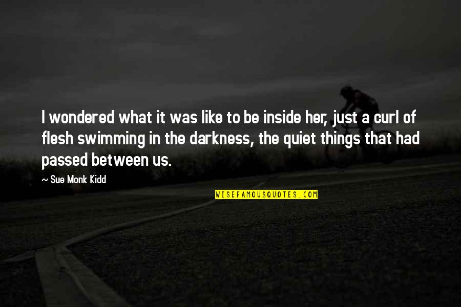 Vulindlela Government Quotes By Sue Monk Kidd: I wondered what it was like to be