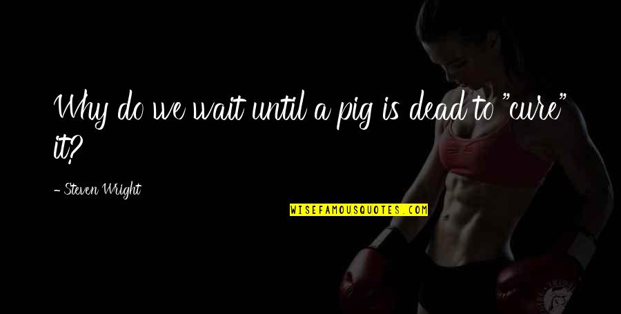 Vulnarable Quotes By Steven Wright: Why do we wait until a pig is