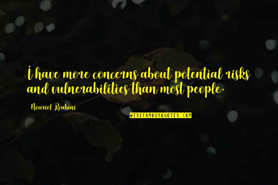 Vulnerabilities Quotes By Nouriel Roubini: I have more concerns about potential risks and