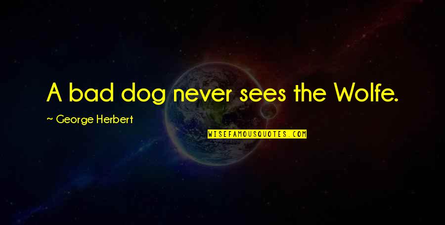Vulnere Quotes By George Herbert: A bad dog never sees the Wolfe.