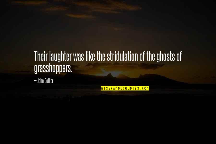 Vulom Quotes By John Collier: Their laughter was like the stridulation of the