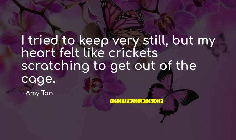 Vultaggio Francesco Quotes By Amy Tan: I tried to keep very still, but my Vultaggio Francesco Quotes By Amy Tan: I tried to keep very still, but my