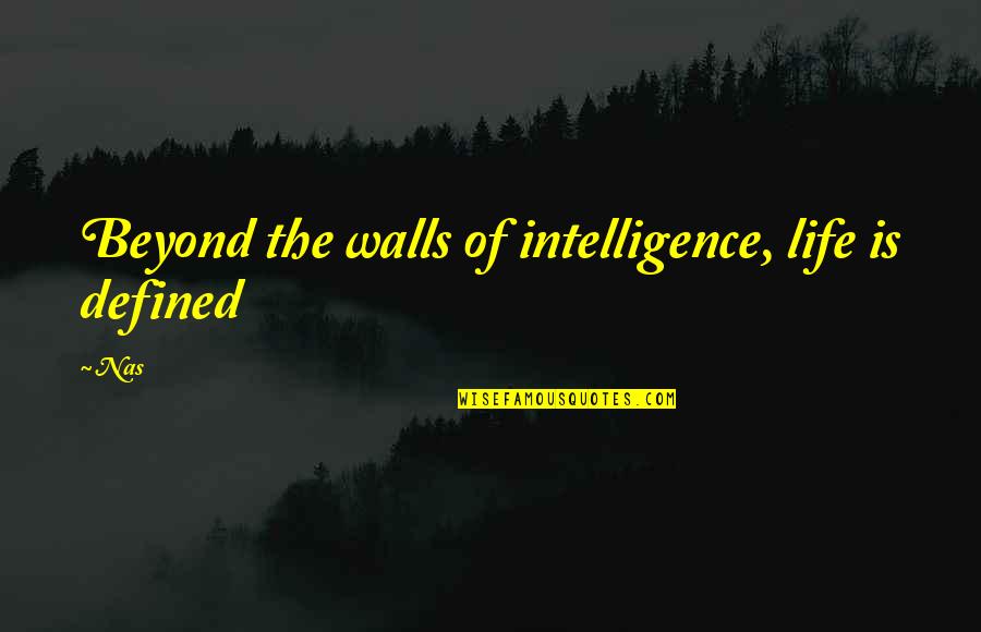 Vusc College Quotes By Nas: Beyond the walls of intelligence, life is defined