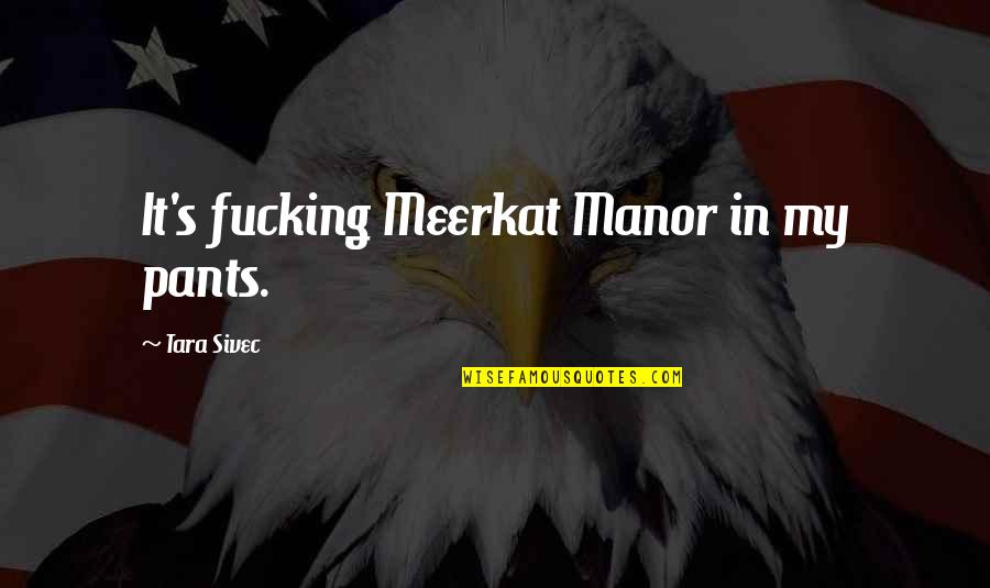 Vuurtoreneiland Quotes By Tara Sivec: It's fucking Meerkat Manor in my pants. Vuurtoreneiland Quotes By Tara Sivec: It's fucking Meerkat Manor in my pants.