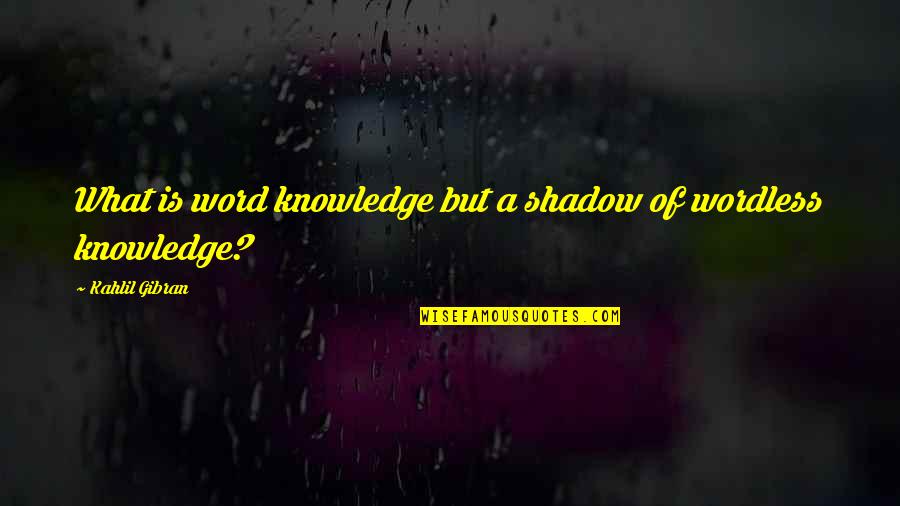 Vyah Quotes By Kahlil Gibran: What is word knowledge but a shadow of