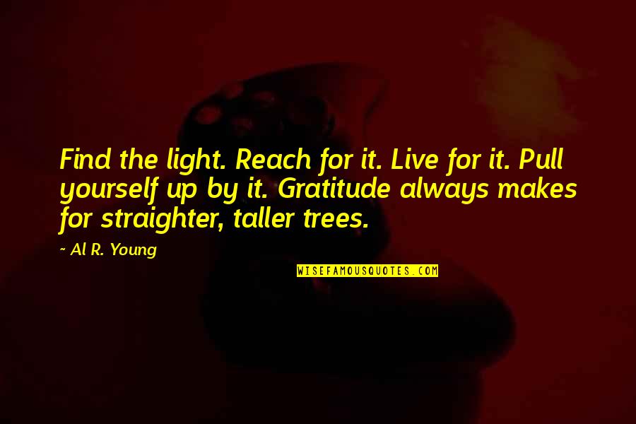 Vyang Quotes By Al R. Young: Find the light. Reach for it. Live for