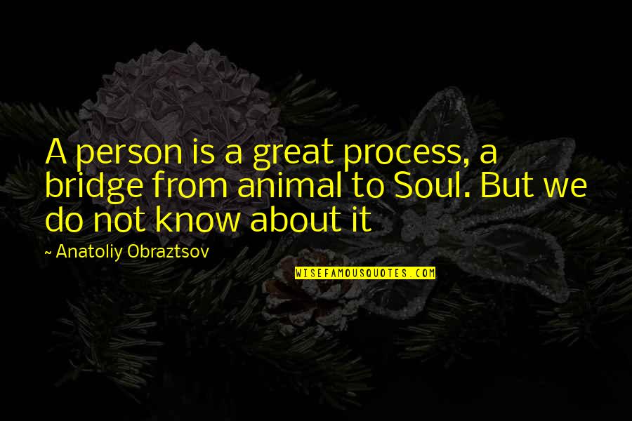 Vyouri Quotes By Anatoliy Obraztsov: A person is a great process, a bridge Vyouri Quotes By Anatoliy Obraztsov: A person is a great process, a bridge