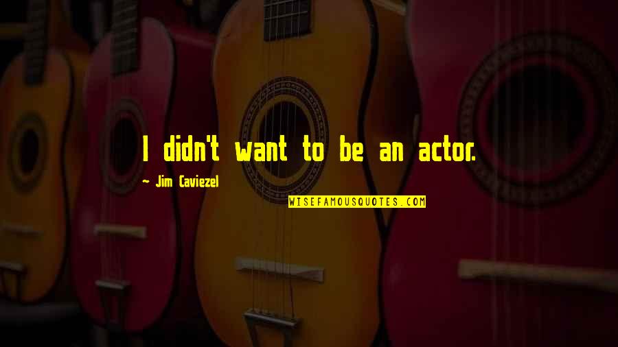 Vztah Mezi Quotes By Jim Caviezel: I didn't want to be an actor.