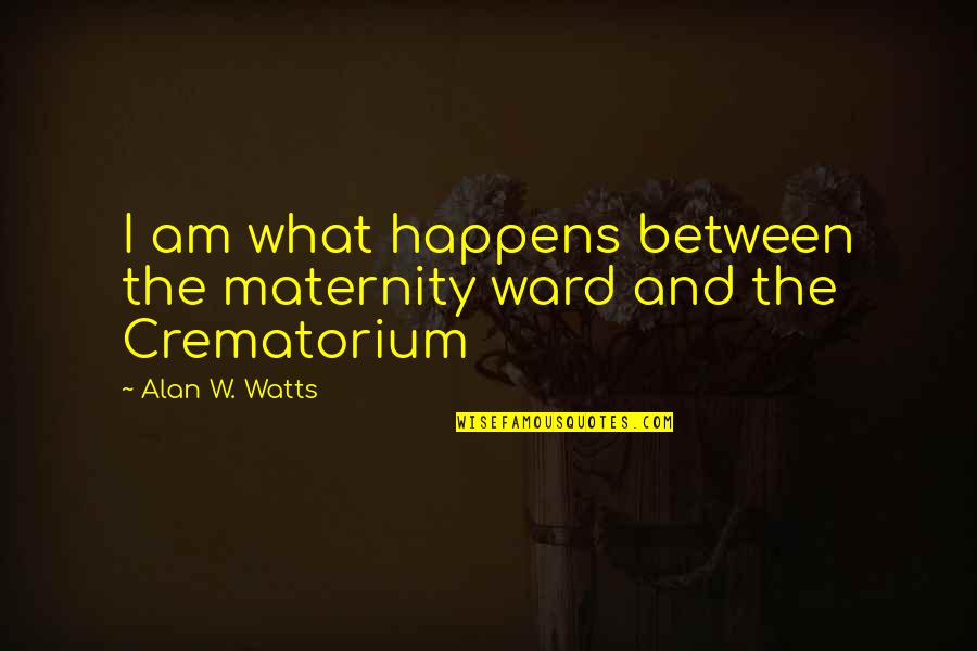 W.a. Ward Quotes By Alan W. Watts: I am what happens between the maternity ward