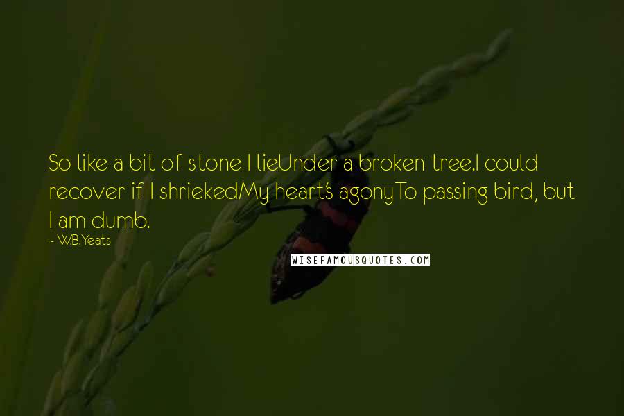 W.B.Yeats quotes: So like a bit of stone I lieUnder a broken tree.I could recover if I shriekedMy heart's agonyTo passing bird, but I am dumb.