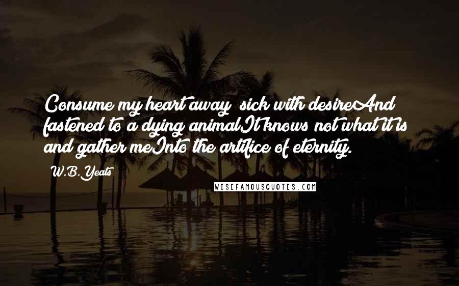 W.B.Yeats quotes: Consume my heart away; sick with desireAnd fastened to a dying animalIt knows not what it is; and gather meInto the artifice of eternity.